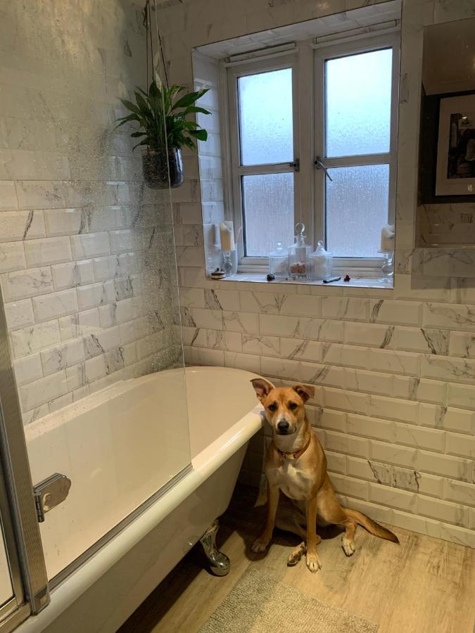 Stylish 3 Bedroom Townhouse For 5 Guests, Set In The Medieval Grid With Off Street Parking Bury St. Edmunds エクステリア 写真